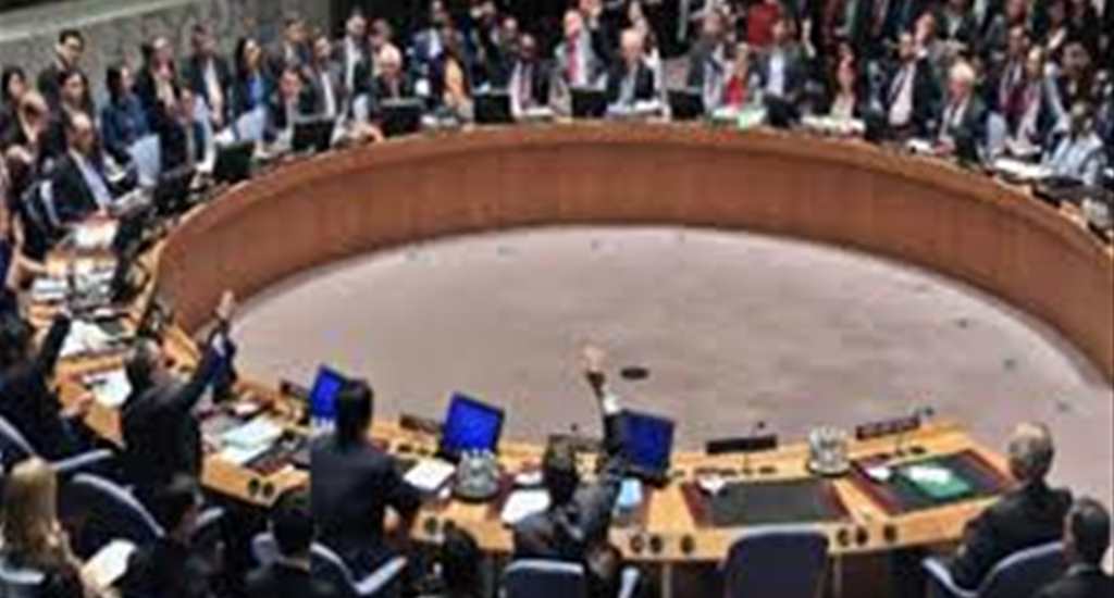 Birleşmiş Milletler Güvenlik Konseyi Reformu ve Pakistanın Tepkisi