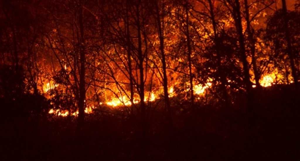 Yunanistanda yangın 3 gündür söndürülemiyor