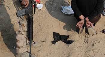 Musul'da 800'den fazla IŞİD'li öldürüldü